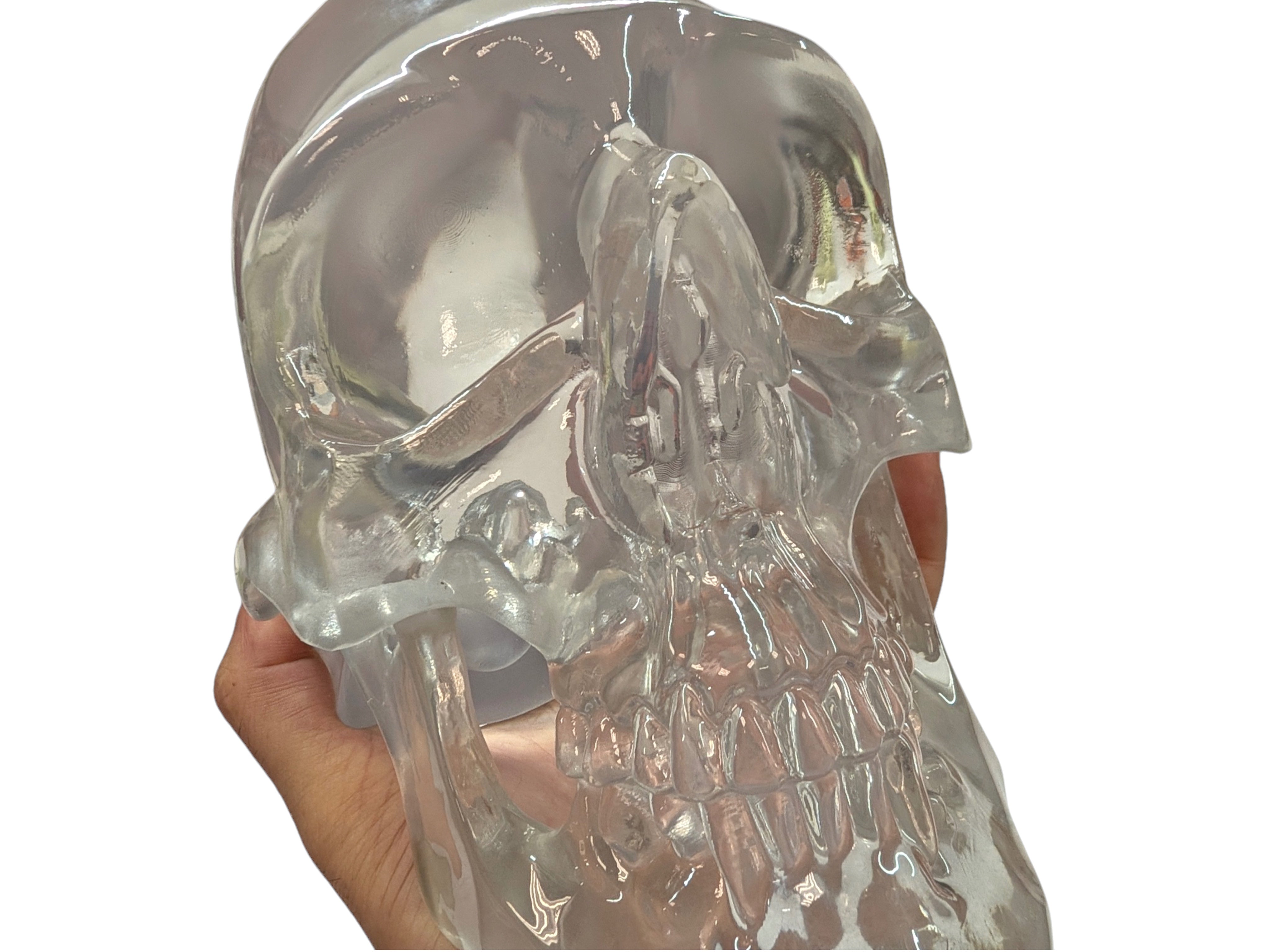 The "Big One" Clear Polished Skull by Maratac® - Limited Edition ( New! )