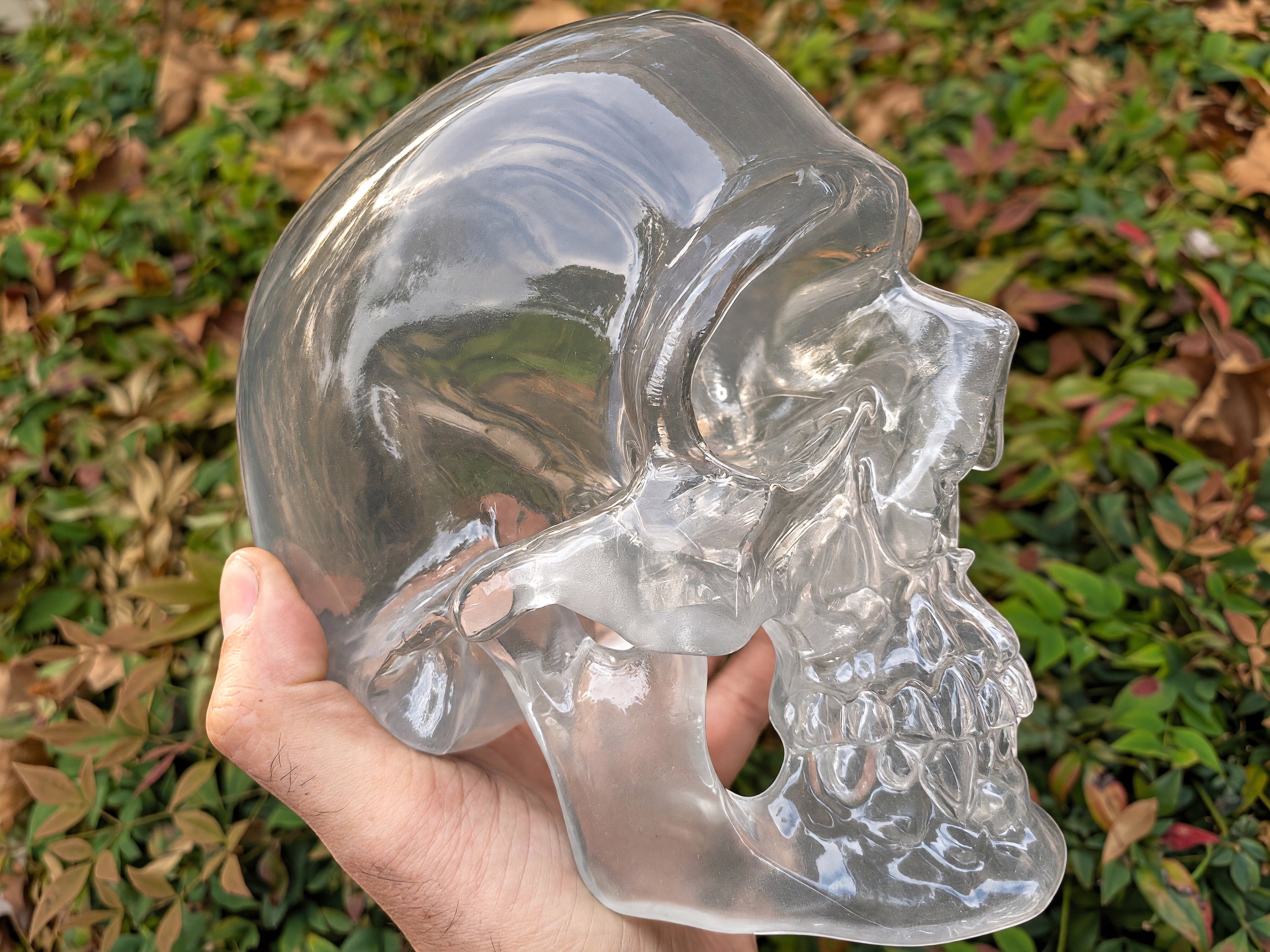 The "Big One" Clear Polished Skull by Maratac® - Limited Edition ( New! )