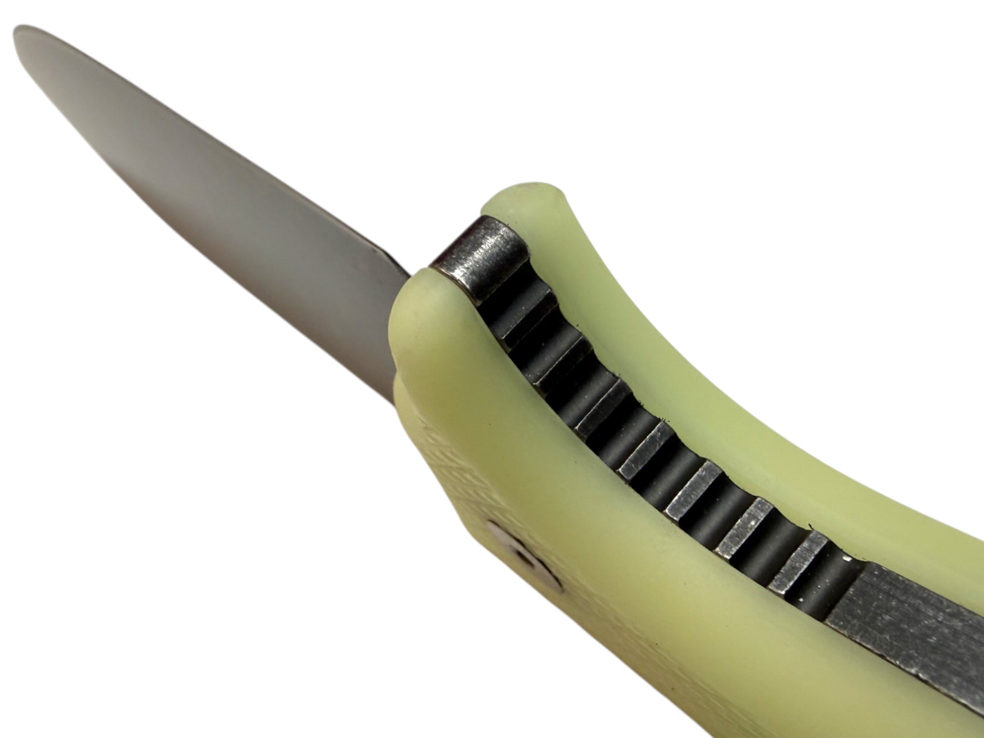 ERGO R4A PRO - Ready 4 Action - Fixed Blade Knife ( UGM GLOW Scales )