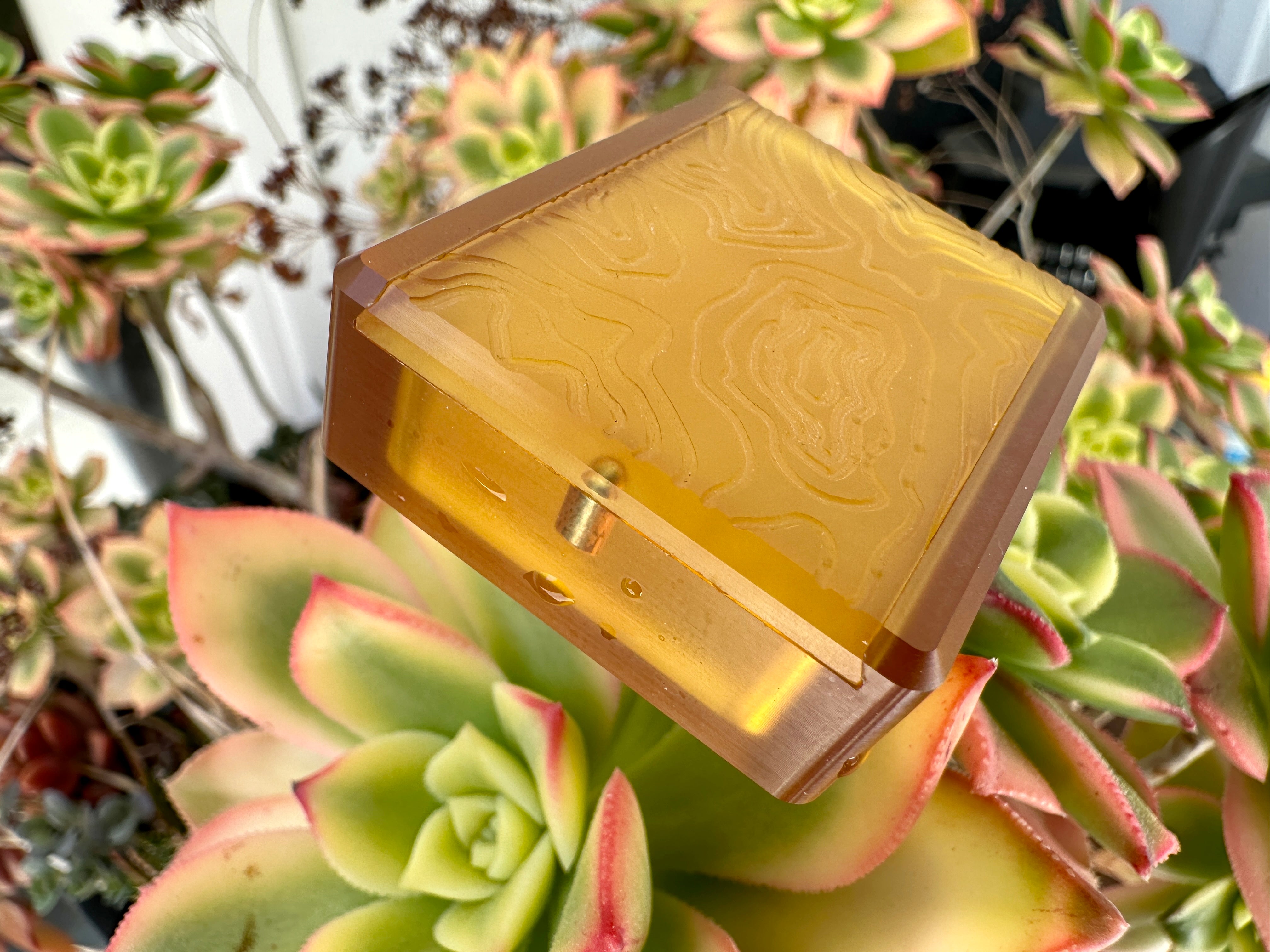 Ultem® Slide Box - Topo - New 2026 Batch